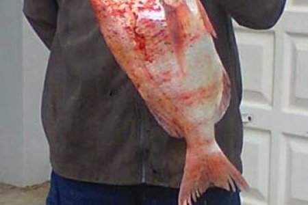  Grant White met sy  4kg stompneus